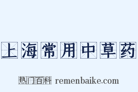 上海常用中草药是什么意思的图片